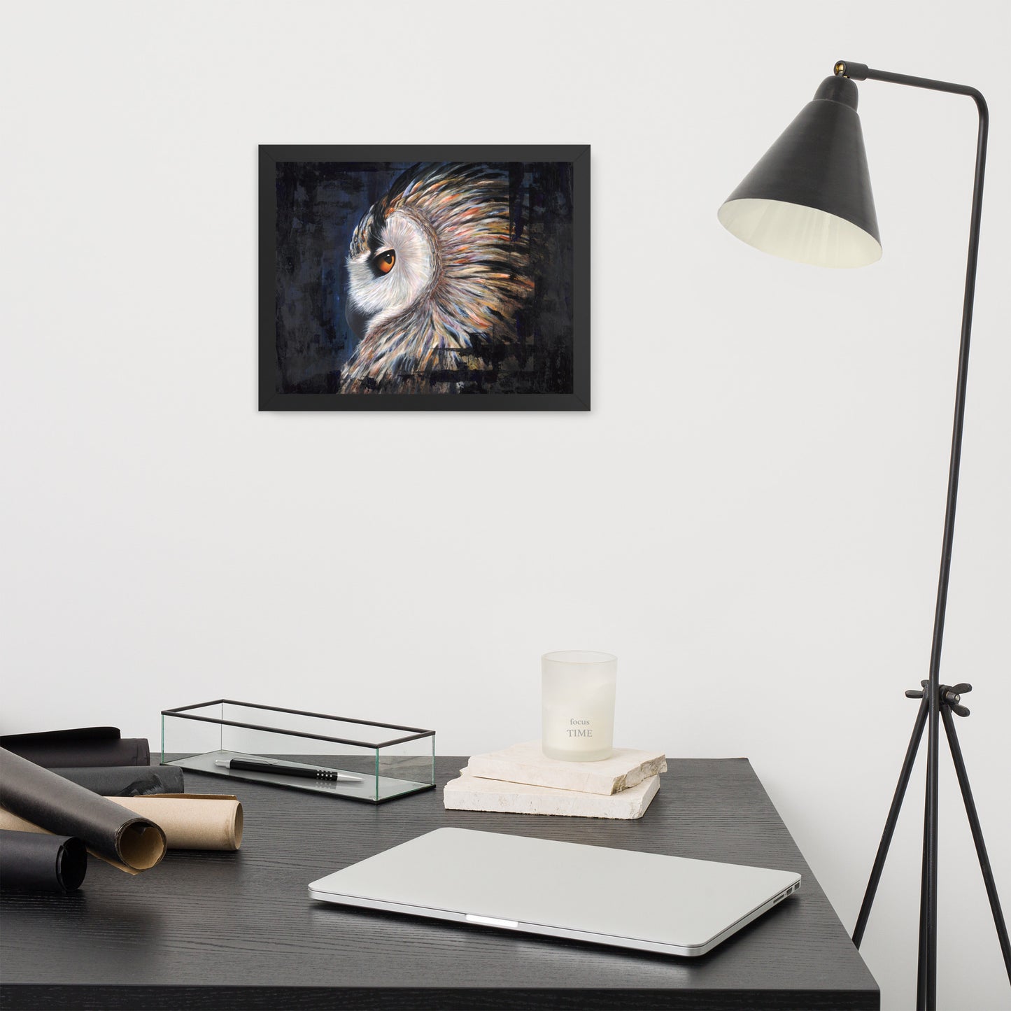 Owl Framed Print