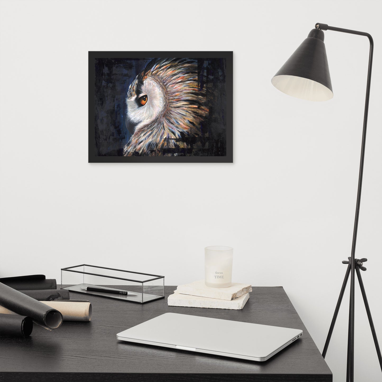 Owl Framed Print