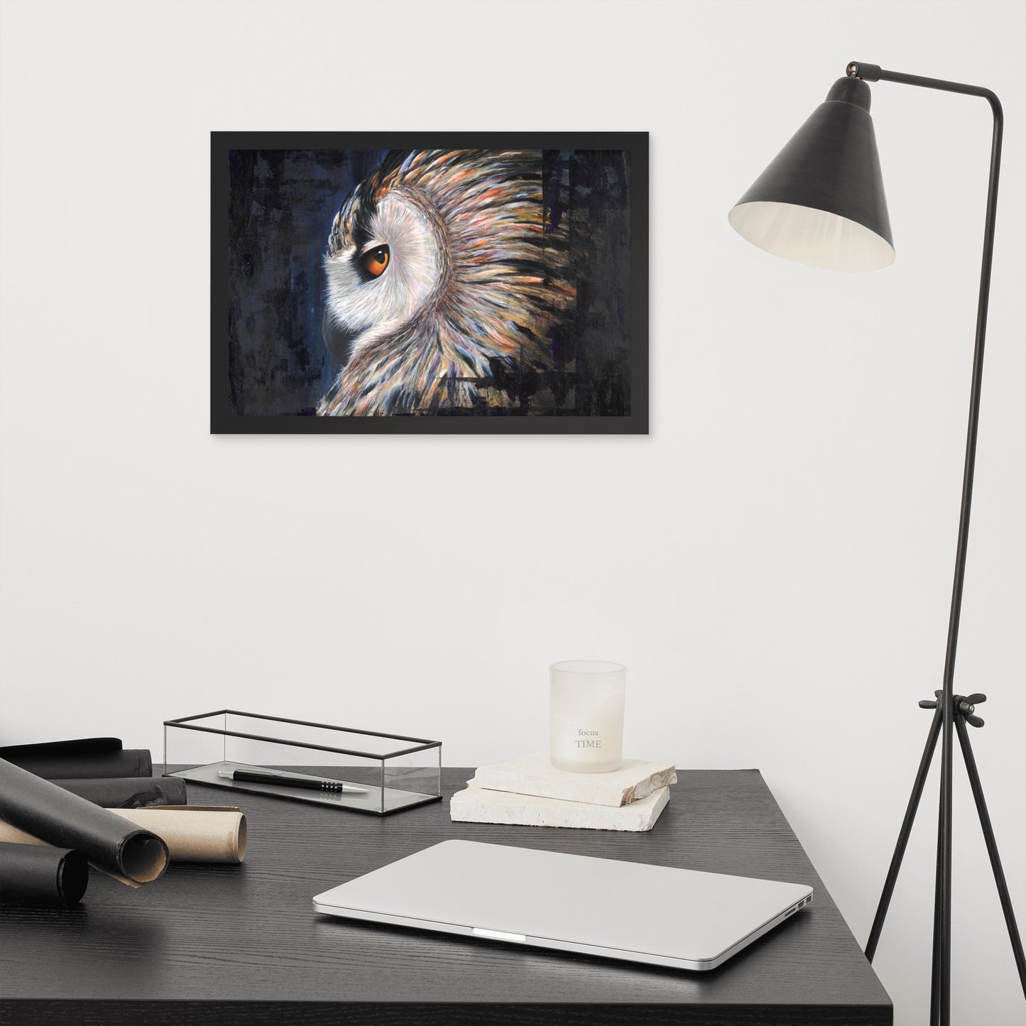 Owl Framed Print