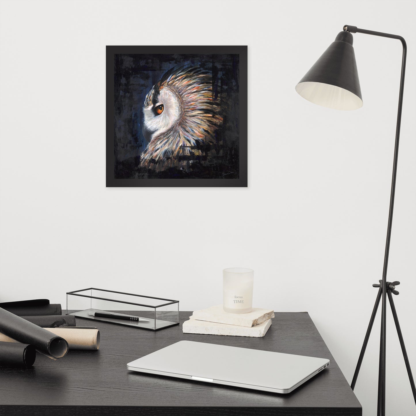 Owl Framed Print