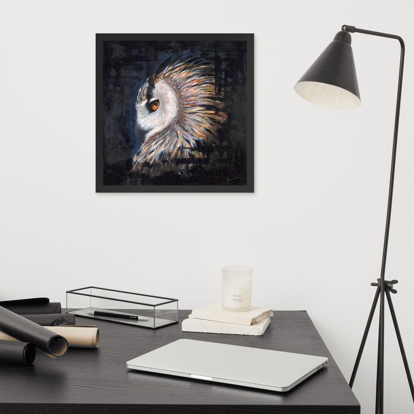 Owl Framed Print