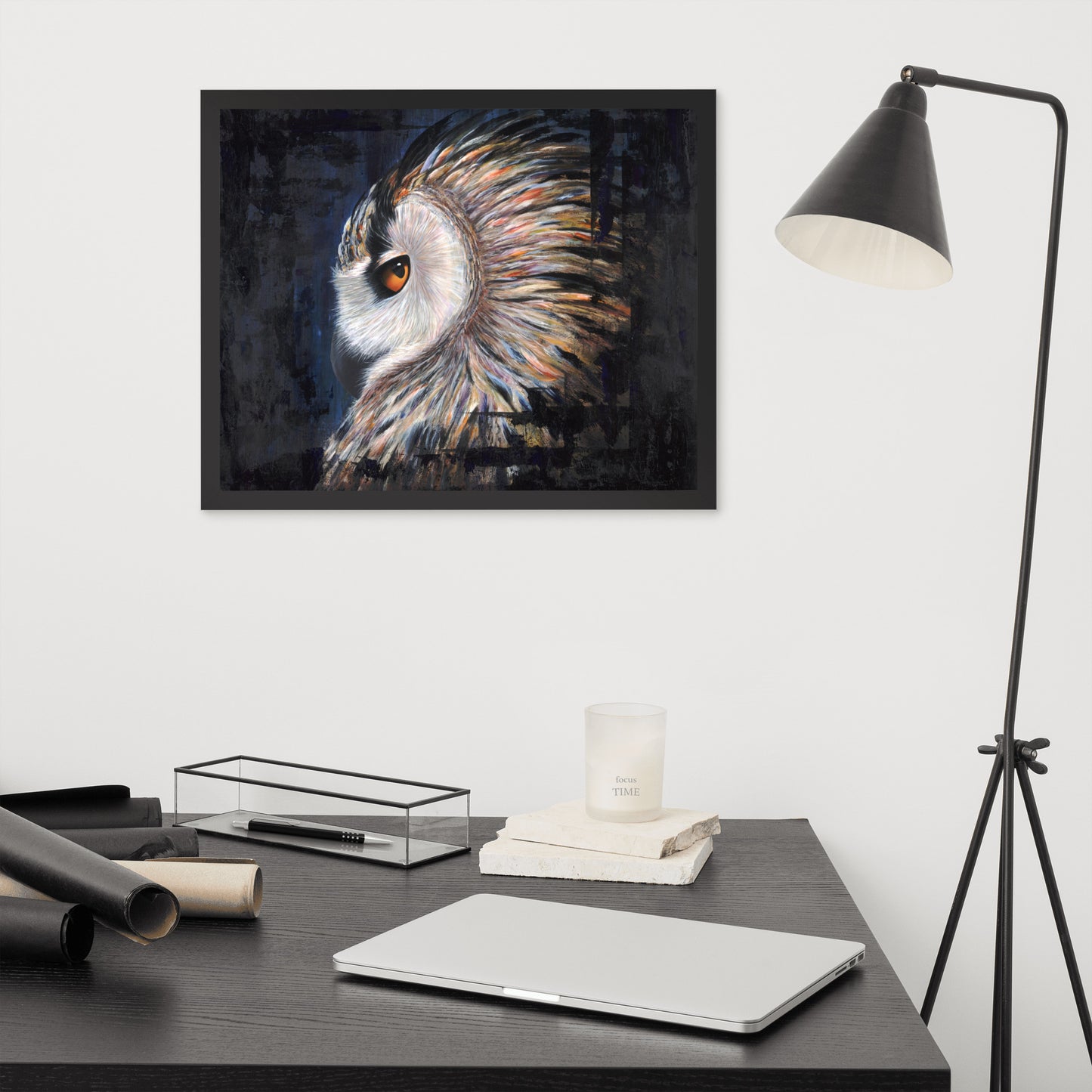 Owl Framed Print