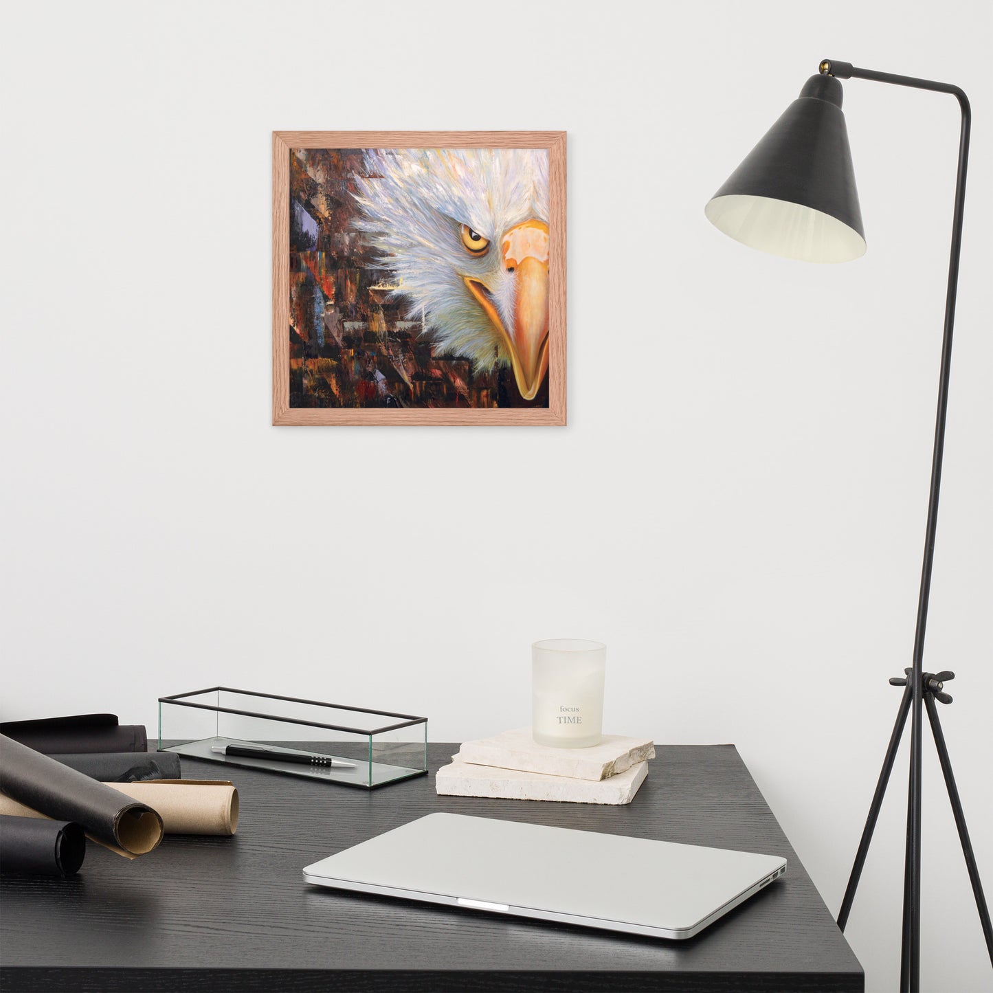 Bald Eagle Framed Print