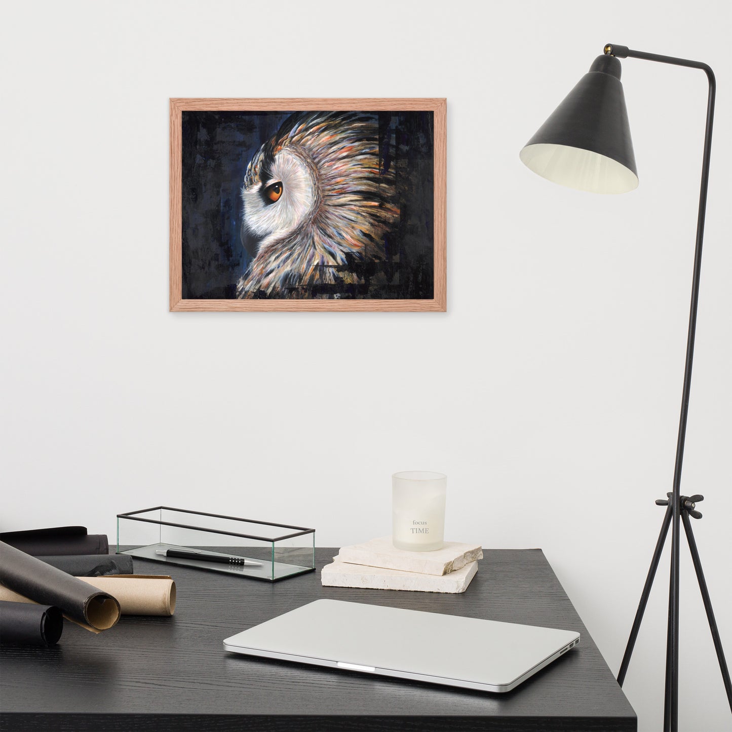 Owl Framed Print