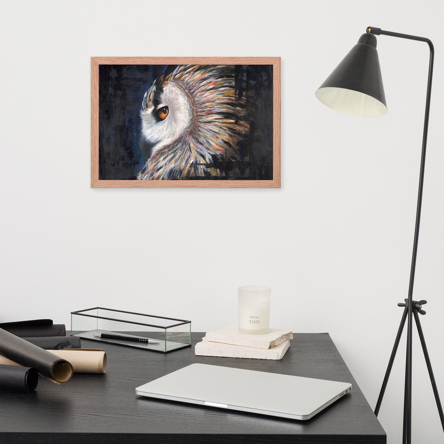 Owl Framed Print