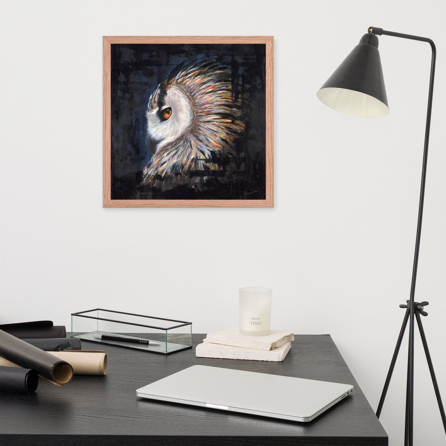 Owl Framed Print