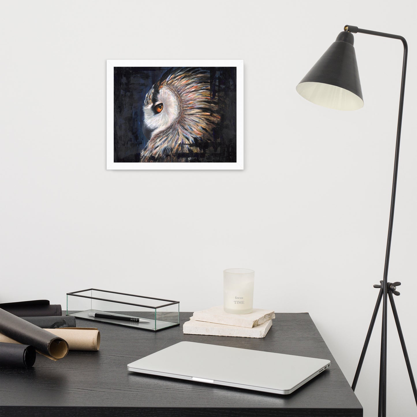 Owl Framed Print