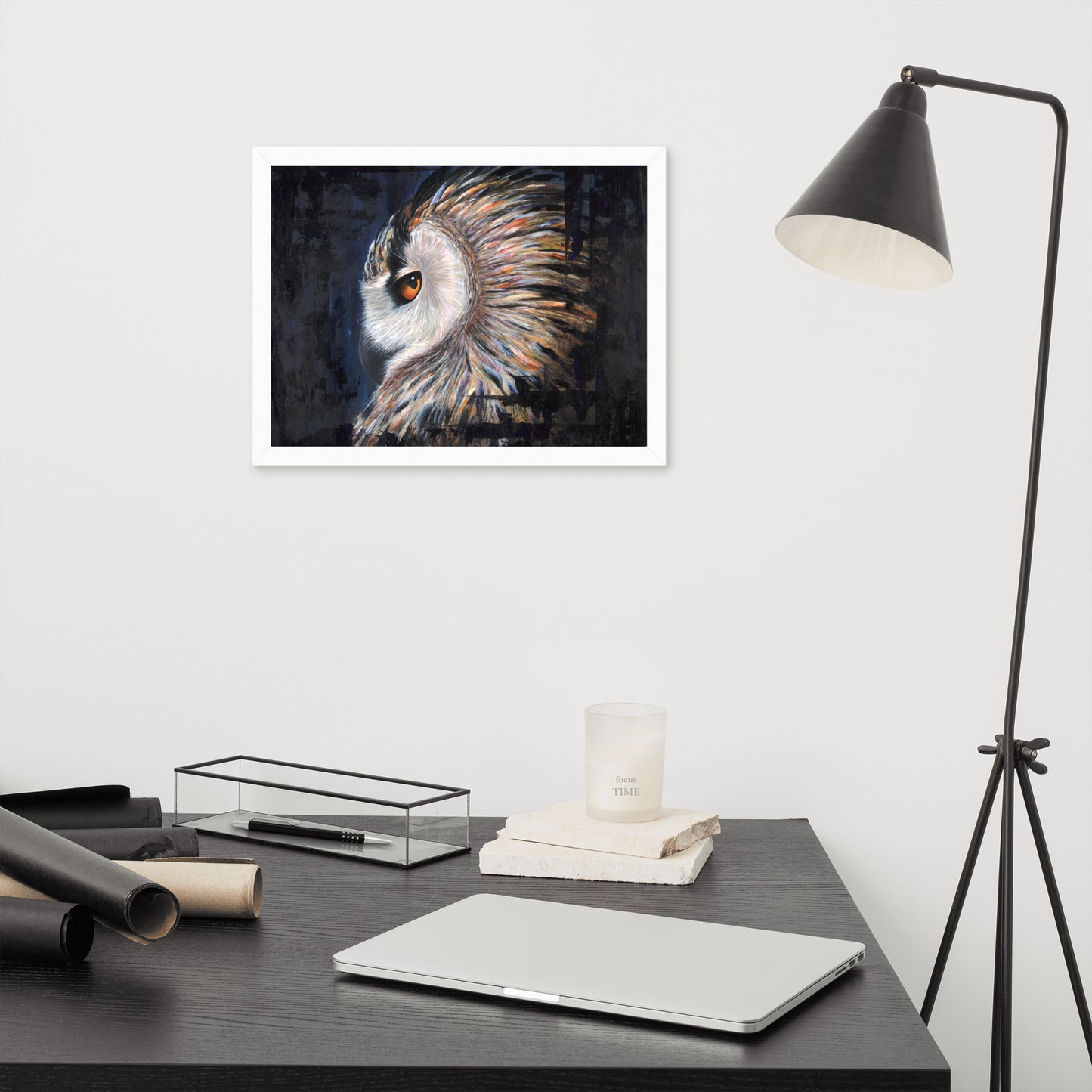 Owl Framed Print