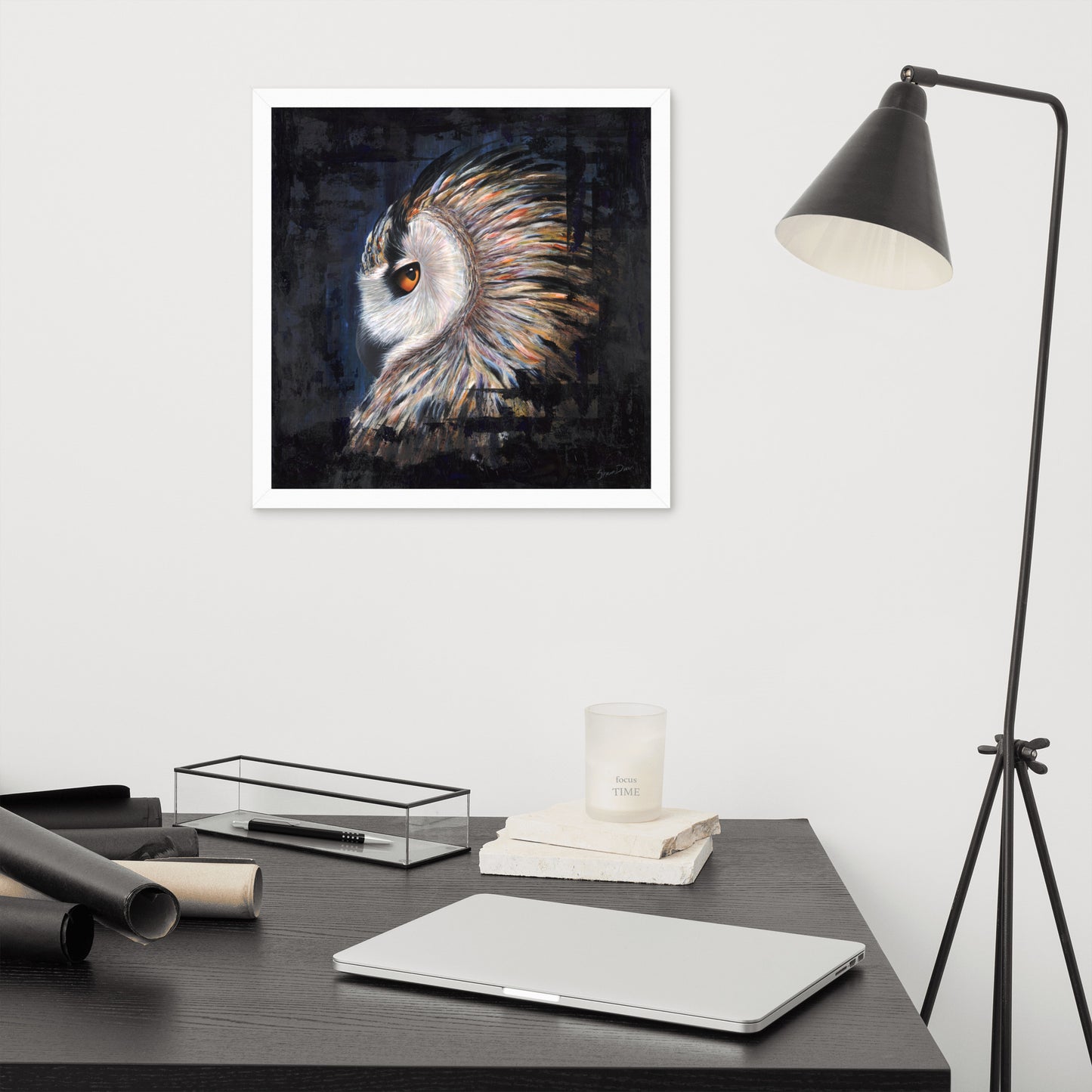 Owl Framed Print