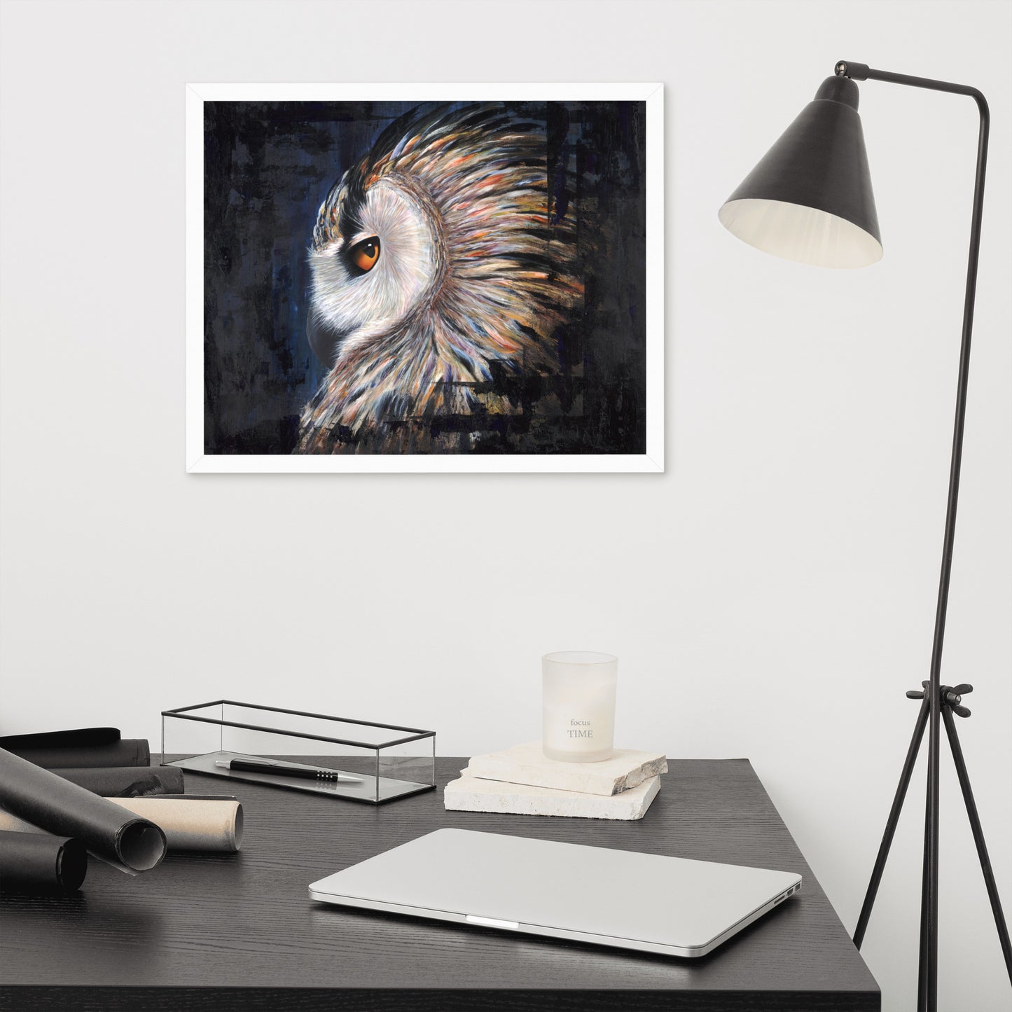 Owl Framed Print