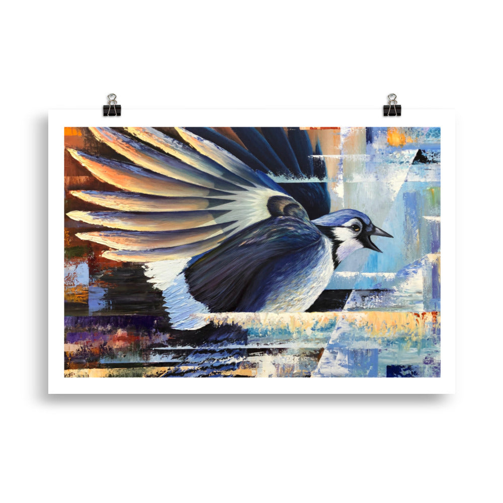 Blue Jay Print